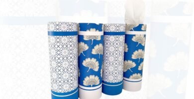 Modern Tissue Holder